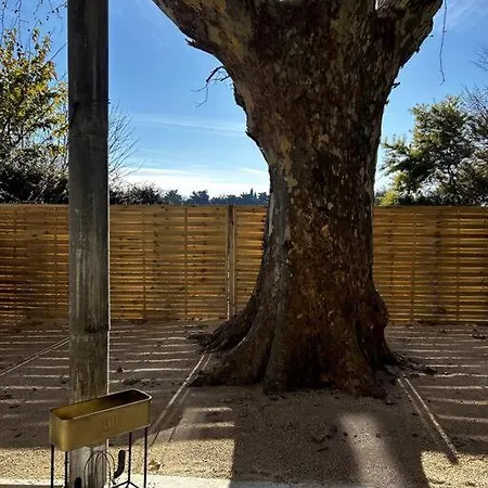 Superbe Appartement Dans Un Mas Nimes Exterior photo